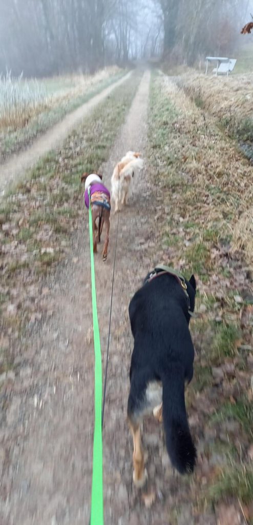 Mia, Lucie und Betreuungshund Polly, Autorin Annette Möhle